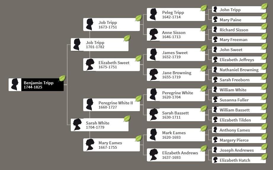 Populating Benjamin Tripp s Family Tree It turns out that the Tripp family had a number of descendants who were interested in genealogy, so there is a rich array of family trees on the Ancestry.