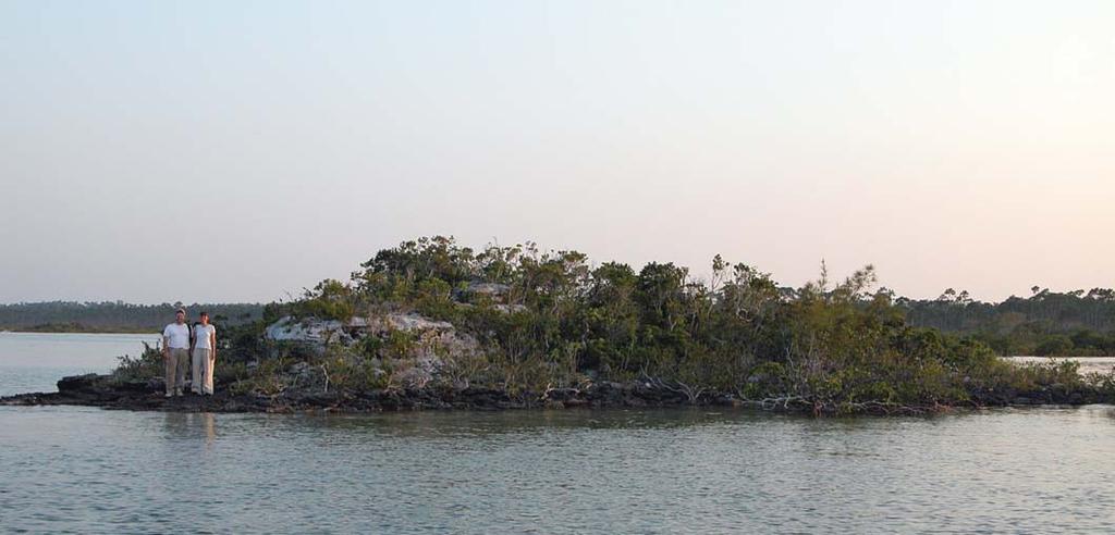 Figure 8. One of the larger Bahamian islands on which experiments have been conducted. Experiments have been conducted in several parts of the Bahamas; this island is in Snake Creek, Abaco.