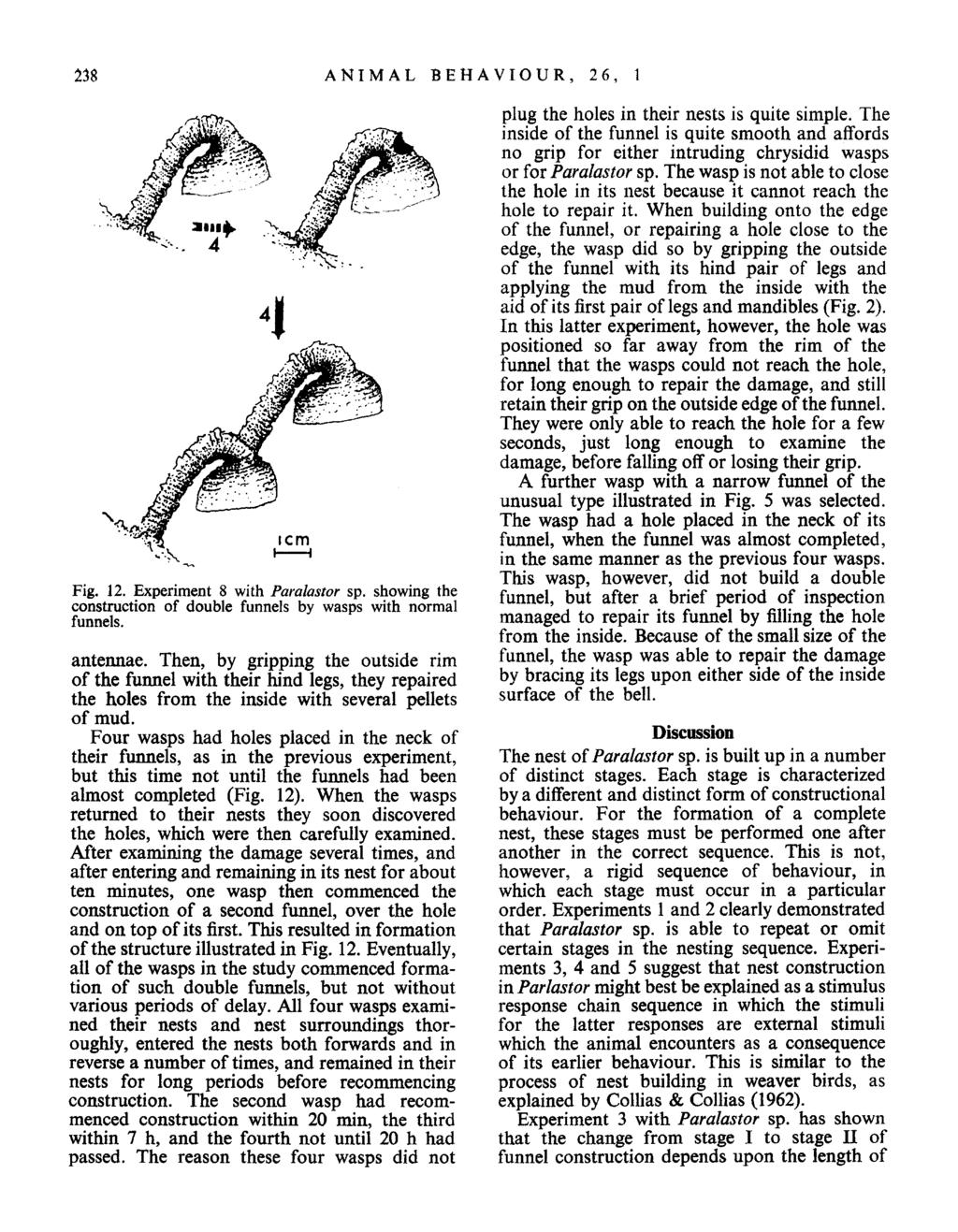2 3 8 ANIMAL BEHAVIOUR, 26, 1 Fig. 12. Experiment 8 with Paralastor sp. showing the construction of double funnels by wasps with normal funnels. antennae.