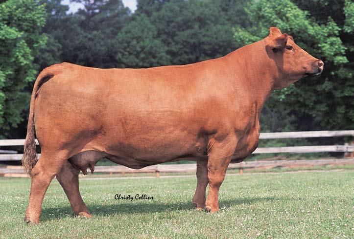 GFI Candace G51 Dam to Lots 20-37 DS Pollfleck 809 GW Solid Fleck - 1505035 Miss Nick 552T GFI Candace G51 Burns Bull X339U GFI Delta Dawn D123-1929360 ER Miss JB91X 9A As you are well aware, Candace
