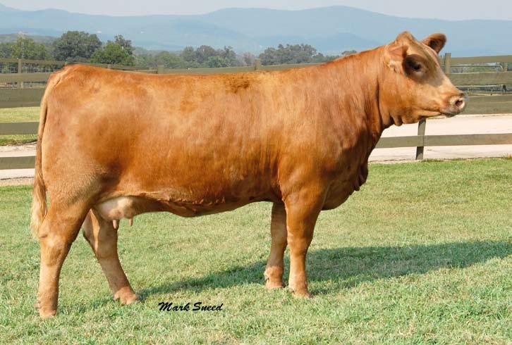 19 Ankony Ms Jacquelyn R132 Selling her First Flush Hercules 538P BOZ Red Coat BOZ Red Lady Ankony Ms Jacquelyn R132 GW Solid Fleck GFI Candace G51 GFI Delta Dawn D123 In a sale of this magnitude we