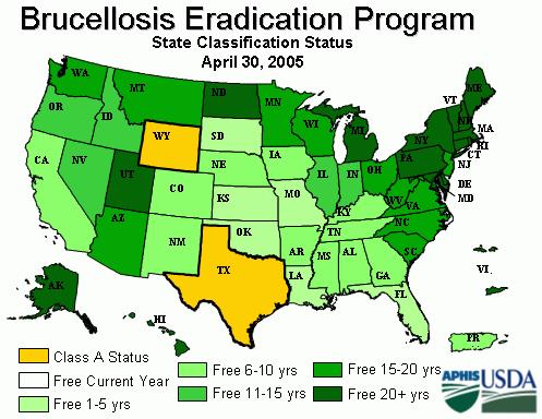 The relationship between the disease and individual socioeconomic status is exemplified in the US, where programs to eradicate brucellosis have successfully limited the annual