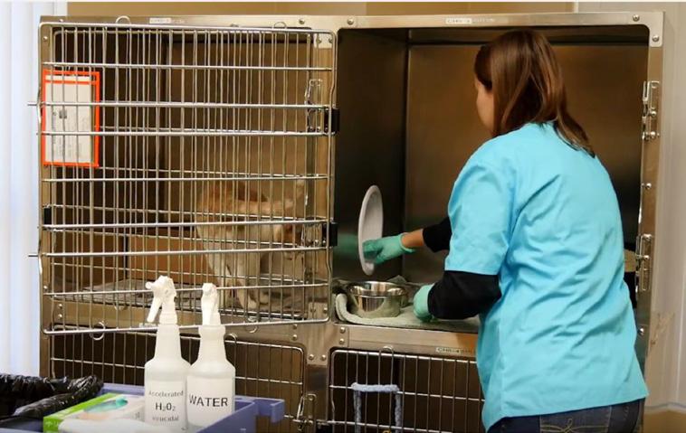 Spot Cleaning for Cat Kennels You ll Need: Instructions: Gloves A rag or paper towel Spray bottle labeled Accelerated H202 (2 oz.