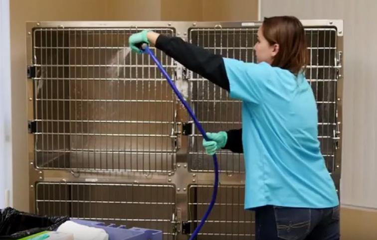 Deep Cleaning for Cat Kennels You ll Need: Instructions: Gloves 1.5 gallon pump-up foamer Clean rags or paper towels Fresh litter and pans 1. Remove all items and debris from kennel 2.