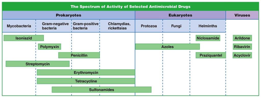 org Clinical Considerations in Prescribing Antimicrobial Drugs: Spectrum of action Summary of how antibiotics work (mechanisms of action)