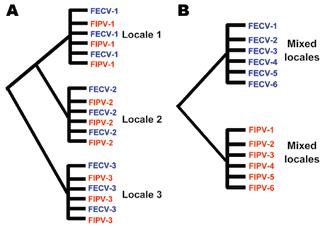 RESEARCH The in vivo mutation hypothesis of FIPV pathogenesis is widely cited, although it has never been explicitly confirmed.