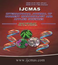 International Journal of Current Microbiology and Applied Sciences ISSN: 2319-7706 Volume 4 Number 2 (2015) pp. 1010-1016 http://www.ijcmas.