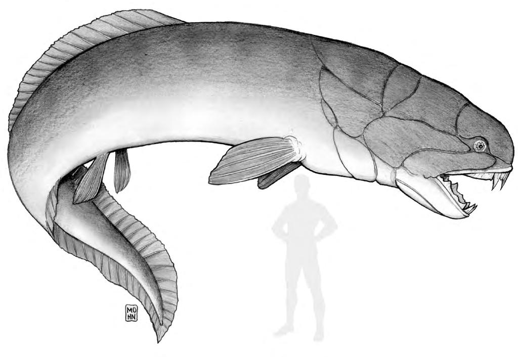 PREHISTORIC FISH Certain species of primeval fish still lurk in the deep oceans; massive, terrifying leviathans that occasionally travel to shallower water to hunt.