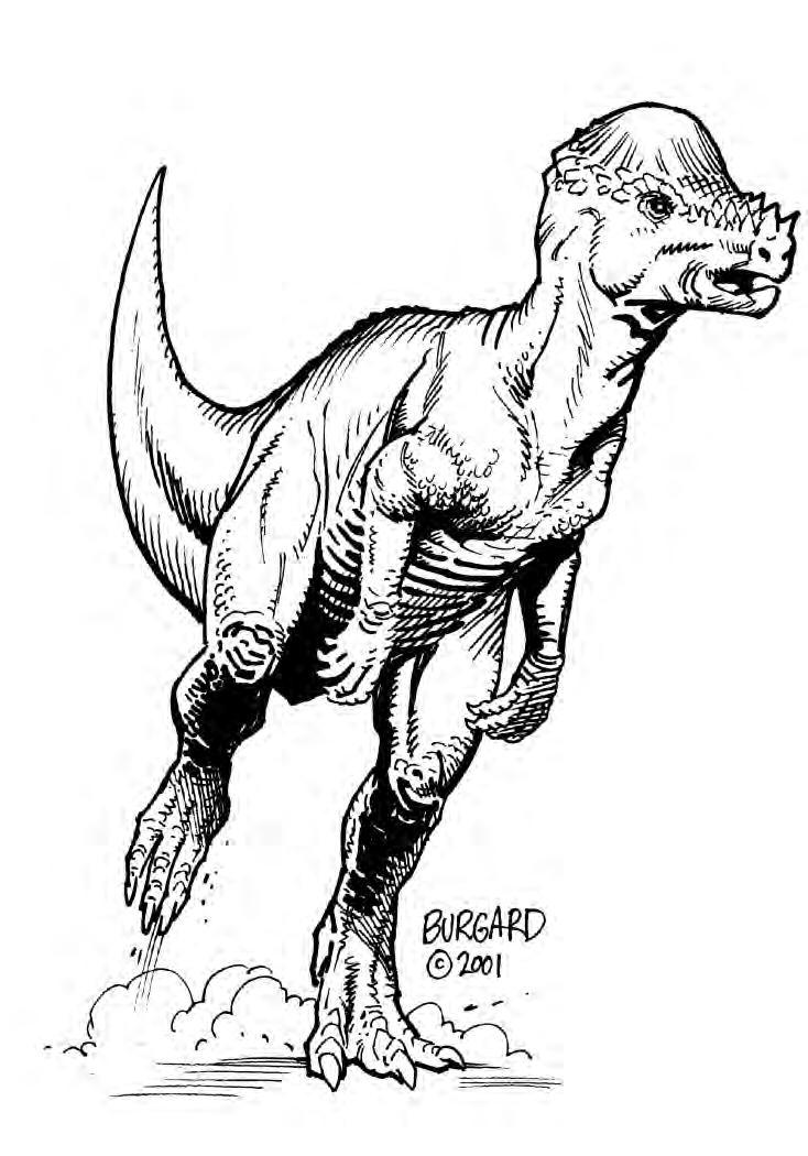 HARDSKULL BEHEMOTH Hardskull behemoths are a species of large, bipedal reptile so named for their dome-like skull, which can be up to 10 inches thick.