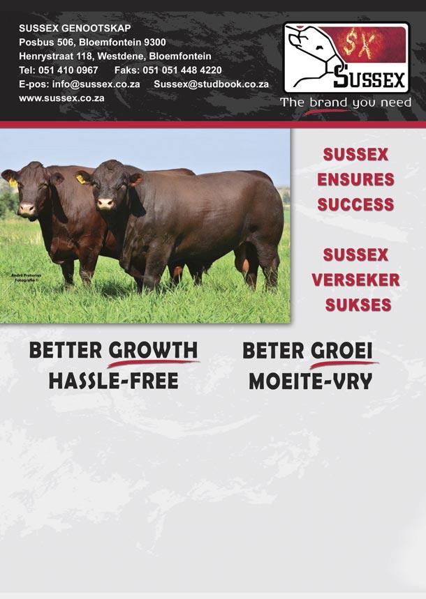 Sussex has the potential to make your beef enterprise more profitable. There are advantages whether you farm ex - ten sively or more intensively.