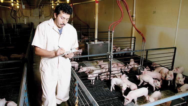 2. Internal Biosecurity Measures An example of internal biosecurity would be the measures taken to keep Transmissible Gastroenteritis (TGE) from spreading from your gestating sows to the sows and