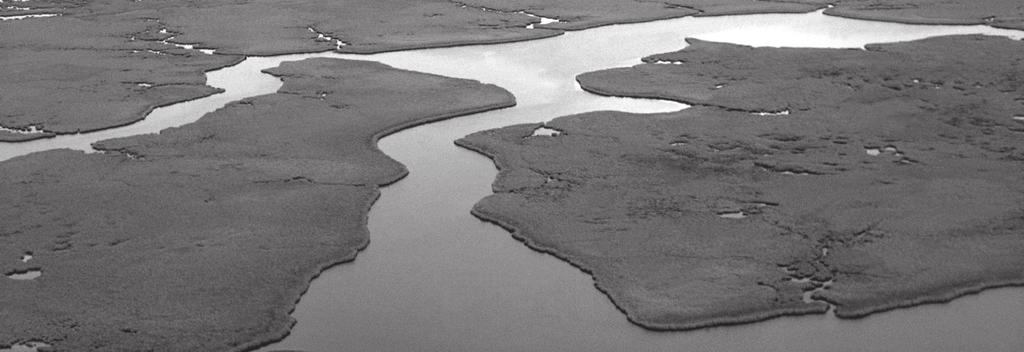 Louisiana Coastal Law LCL 95, February 2014 Louisiana Into the Abyss of Louisiana s Gulfward Boundary By Kellyn Elmer, with contributions by Charmaine Borne I.