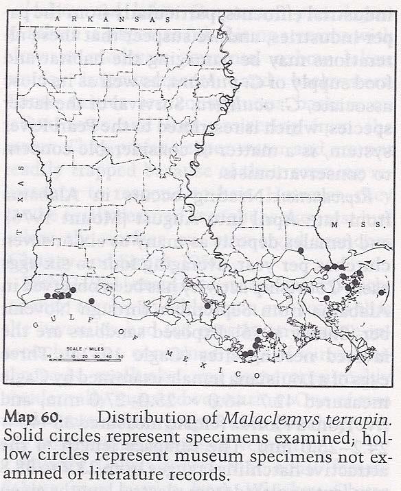 Terrapin Knowledge in Louisiana Selman et al.