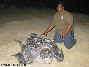 CNN Award Chairman Suzan Lakhan Baptiste At the time this selection was made out of 4000 persons Suzan will be on CNN website for 2 years Google Search ( CNN Suzan Lakhan Baptiste) 'Crazy Turtle