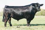 L24 is the H25 daughter that is famously known as the dam of Miley Cottontail.