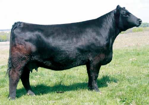 KA TCF Independence S30L Mr NLC Upgrade Mr HOC Broker BC Lookout Silveiras Style Elite Embryo Opportunities Pedigree for KA TCF Independence S30L: HC Power Drive 88H WLE Power Stroke Kappes Lady