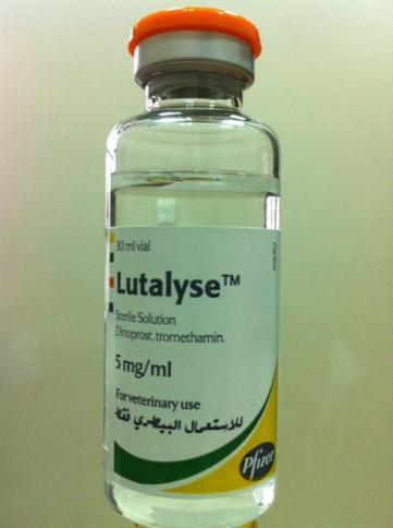 LutaLyse naturally occurring prostaglandin F2 alpha sterile solution Dinoprost