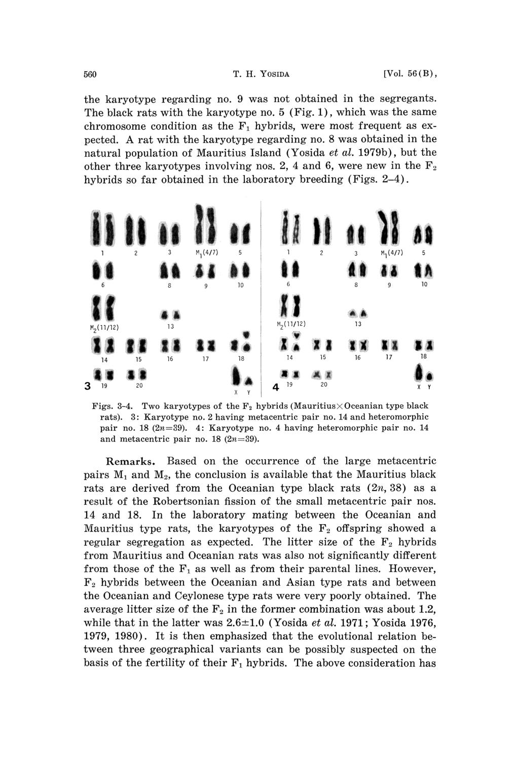 560 T. H. YOsIDA [Vol. 56(B), the karyotype regarding no. 9 was not obtained in the segregants. The black rats with the karyotype no. 5 (Fig.