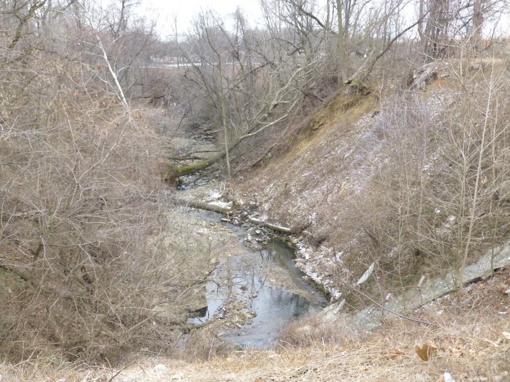 View of Rock Creek from Ogontz Ave.