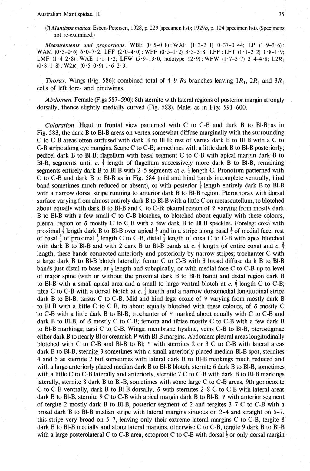 Australian Mantispidae. I1 35 (?) Mantispa manca: Esben-Petersen, 1928, p. 229 (specimen list); 1929b, p. 104 (specimen list). (Specimens not re-examined.) Measurements and proportions. WBE (0.5-0.