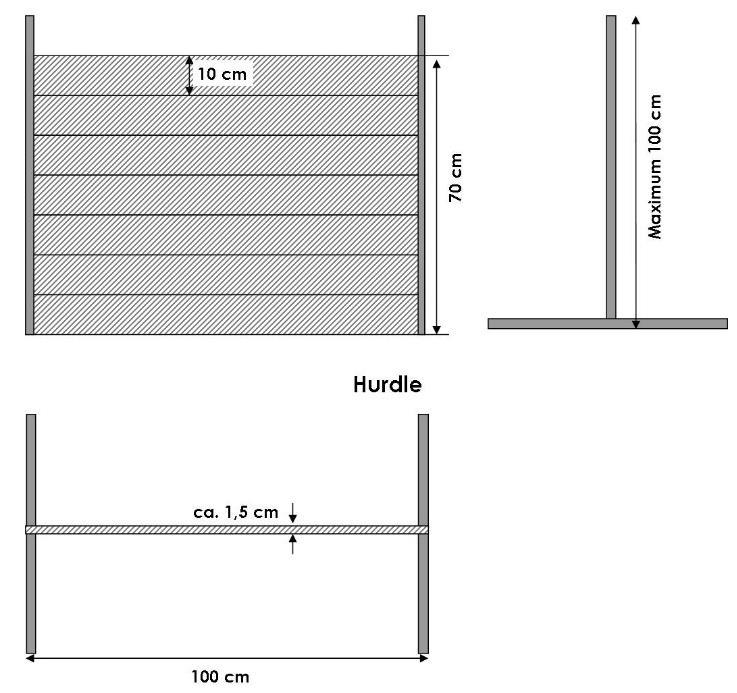 APPENDIX 1 Figure of the hurdles of exercises 9 in classes 1 & 2 and exercise 8 in class 3. The maximum height for class 1 is 50 cm and for classes 2 & 3 the maximum height is 70 cm.