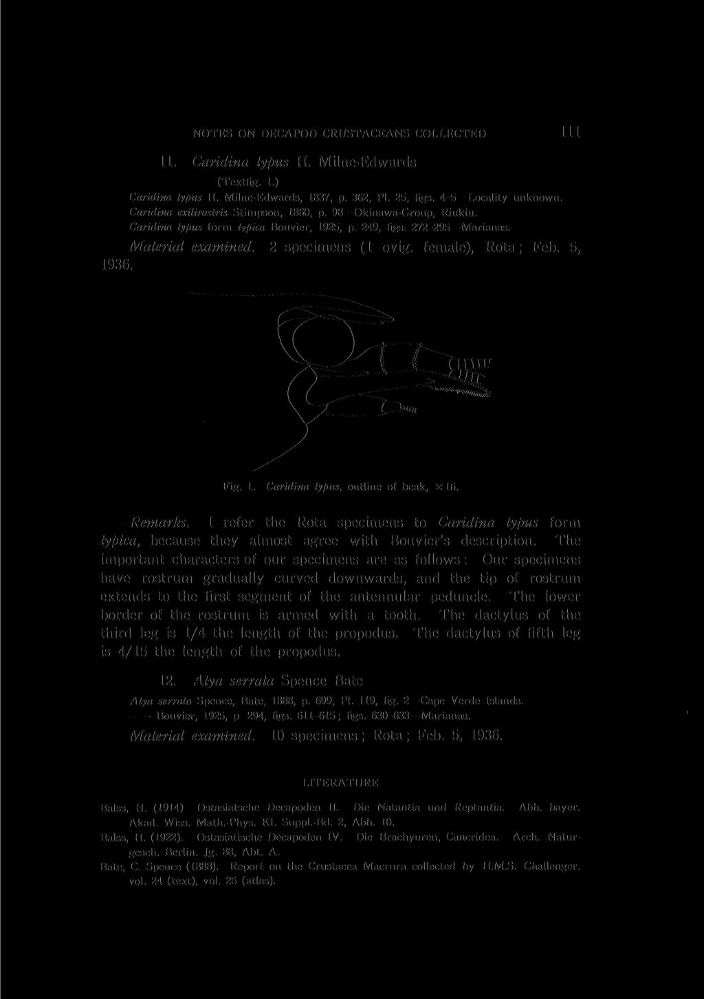 NOTES ON DECAPOD CRUSTACEANS COLLECTED 111 11. Caridina typus H. Milne-Edwards (Textfig. 1.) Caridina typus H. Milne-Edwards, 1837, p. 362, PL 25, figs. 4-5 Locality unknown.