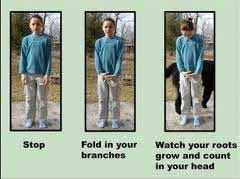 Human body language, expressions that minimize/lessen the chances of being bitten: Talk calmly, move slowly Don t stare into eyes of dog Stand still, keep arms pressed to