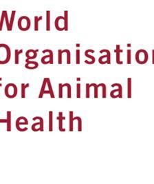 the OIE Terrestriall Animal Health Standards Commission (Code Commission).