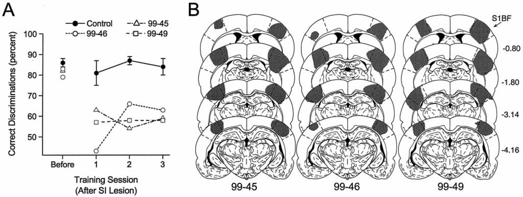 Krupa et al. Properties of Whisker-Dependent Behavior in Rats J. Neurosci., August 1, 2001, 21(15):5752 5763 5761 Figure 7.