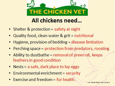 Slide 6 Slide 7 Nesting is a drawn out process for the hen, she needs to have enough space to turn around and