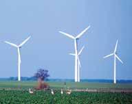 So far, fatalities have been documented only in Spain; however our knowledge may be incomplete as the monitoring in Germany is restricted to a few of the many wind farms.