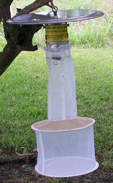 Ovitrap: Used to collect eggs of container breeding mosquitoes. These eggs will be allowed to emerge and then they will be speciated.