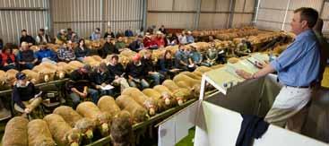 The sheep always have good figures, especially on growth rate and wool weight. You know what you re buying because of the consistency of the 250 rams lined up at the sale.