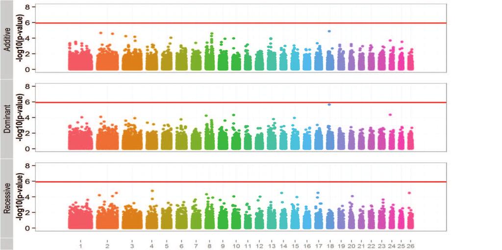 The red bar is the genomewide significance threshold. Two different models show consistency for SNP OAR18_23478564.