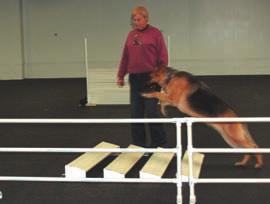 Club Events Membership meeting June 11 at 8:30 at Animal Inn. Obedience Workshop with Ron Halling June 12 Specialty shows June26-27 See page 5 for more information.