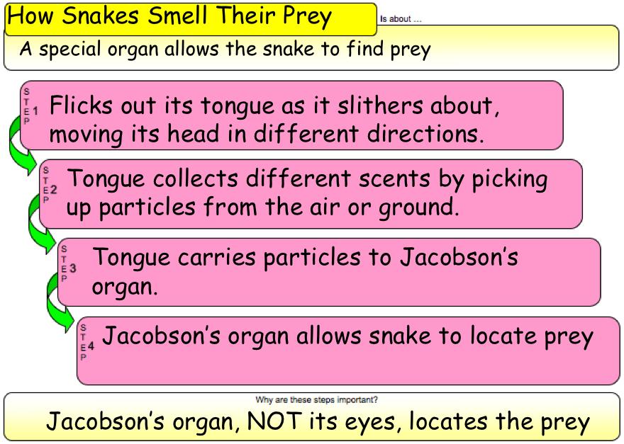 Tongue carries particles to Jacobson s organ.