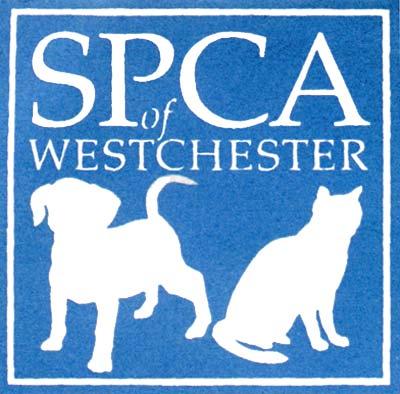 SPCA of Westchester Canine