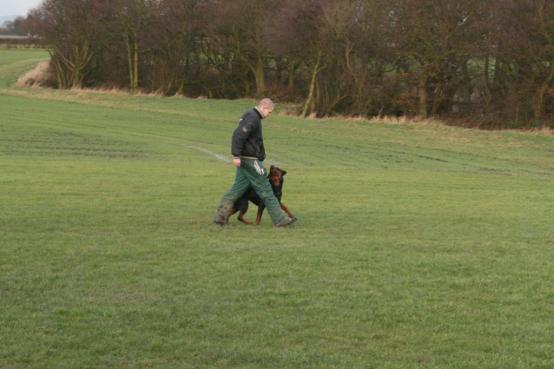 improving the basic sociability and obedience of their dog and also gaining a UK and European recognised qualification.