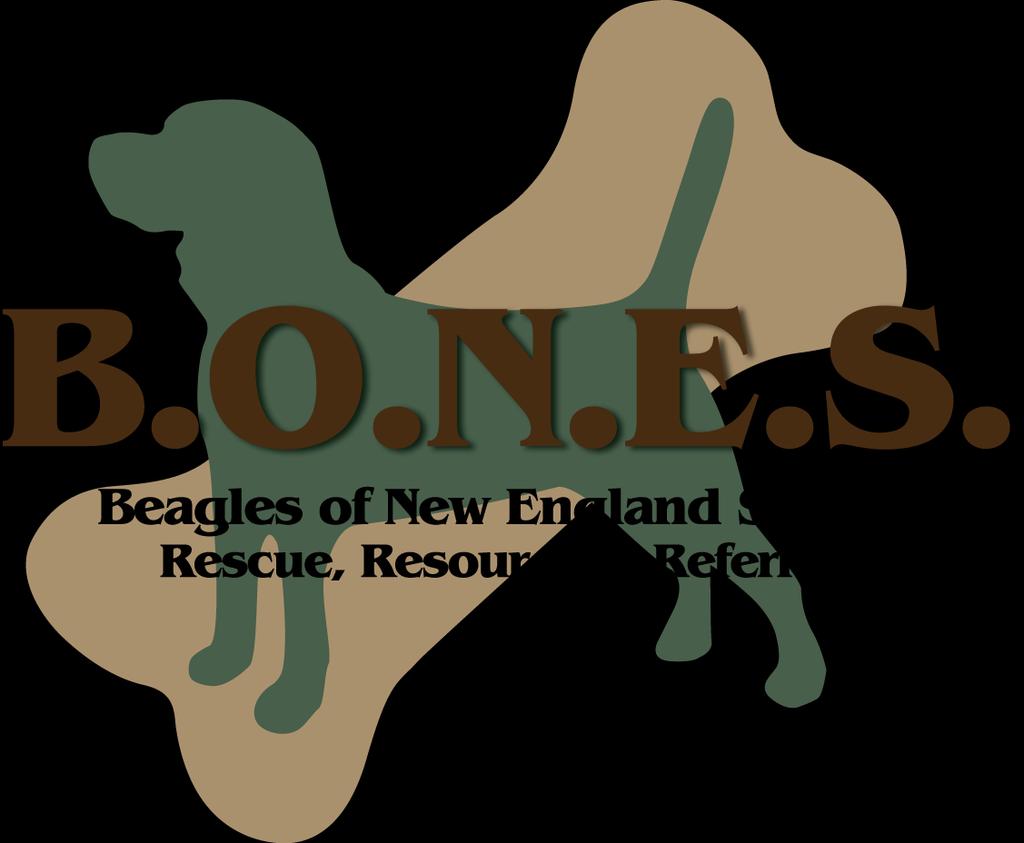 2013 Beagles