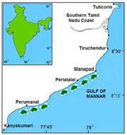 Tamil Nadu 950 Kms coastline All 5 species have been reported.