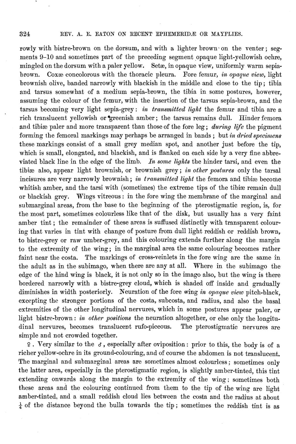 324 REV. A. E. EATON ON RECENT EPHEMERIDA<: OR MAYFLIES.