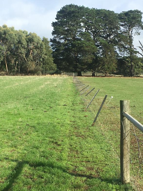 Improve boundary fencing Work