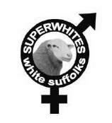 SUPERWHITES The highest performing White Suffolks in Australia About Superwhites: The Superwhites genetic improvement group was formed in 1995 and comprises 20 members across Australia The group has
