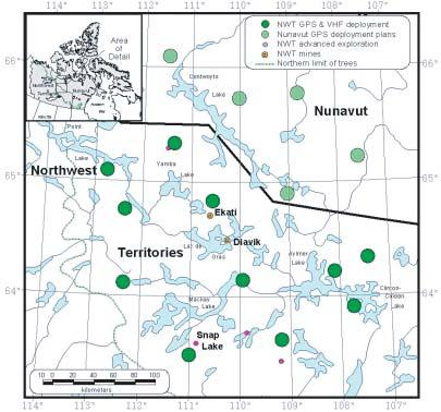 Movement Studies Results Wolves radio-collared in the late 1990s have revealed some wintering areas of the Bathurst caribou that were not indicated by the collared caribou.