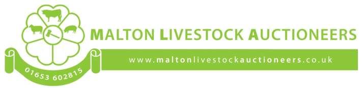 w NO DELAY, WE PAY ON THE DAY Please remember that Malton Market pays on the day each and every Tuesday for fatstock and Friday for store stock.