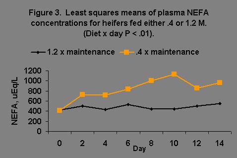 Heifers fed.4 M had decreased plasma IGF-I when compared with 1.2 M heifers (Figure 4; P<.01).