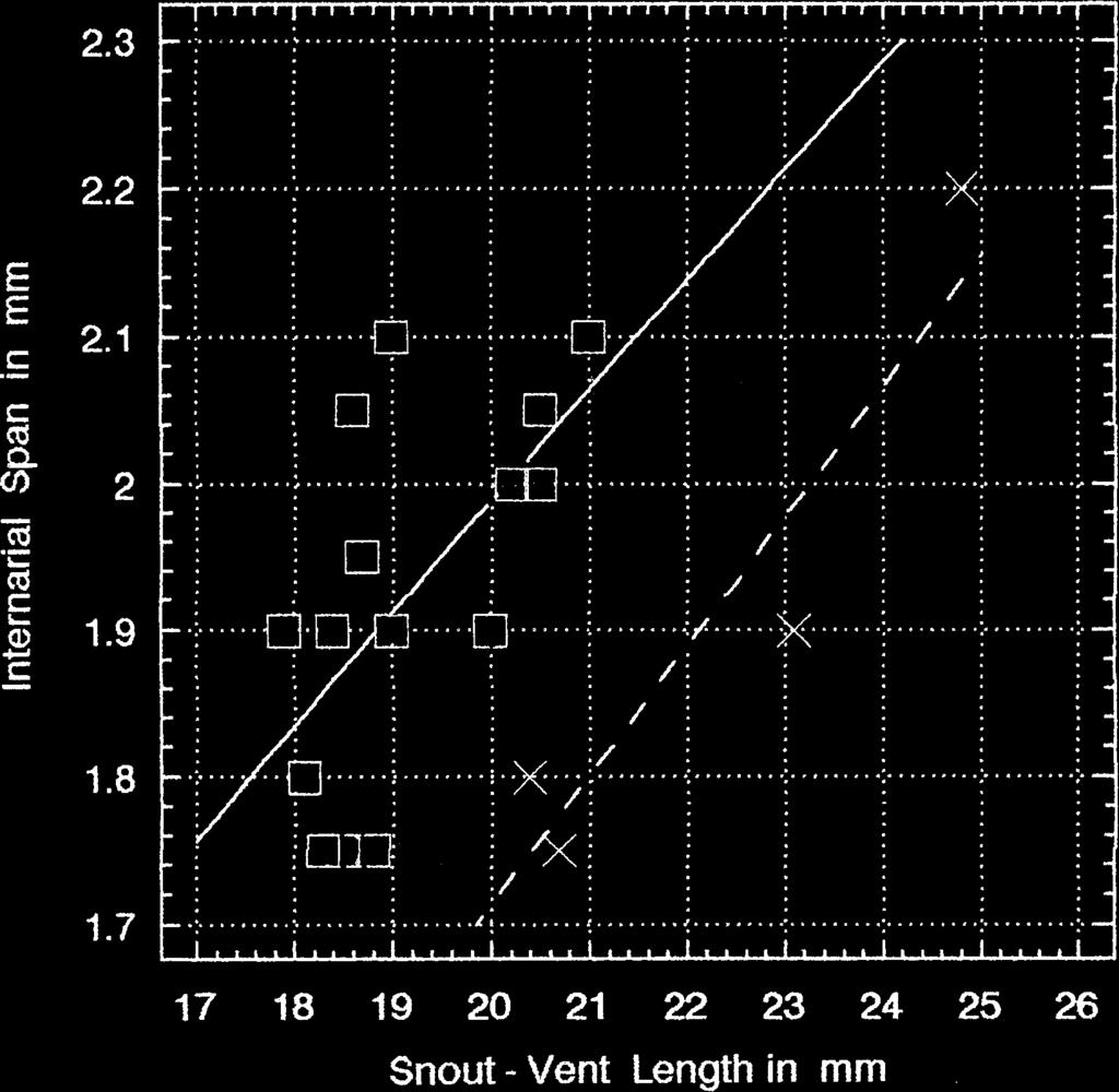 2005 ZWEIFEL ET AL.: SYSTEMATICS OF OREOPHRYNE 19 Fig. 16. Regression of internarial span on snout-vent length in Oreophryne geminus ( ) and O. habbemensis (X). Fig. 17. Oreophryne sp.
