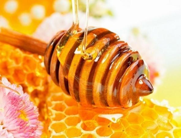 sastojak meda. Zreli med ne sadrži više od 15% vode, a pčele ga u saću pokrivaju voštanim poklopcima i tako čuvaju od upijanja vlage i kvarenja.