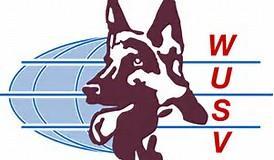 THE WUSV WORKING GROUP - GB ZAP Character Assessment Overview The German Shepherd Dog (GSD) is the most versatile breed of dog in the World which is why it is not only a widely used service dog in