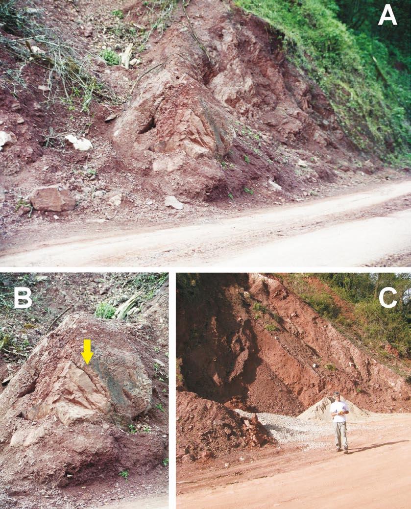 280 Marcos Vaira et al. Figure 1. (A) Breeding site of Gastrotheca christiani in Abra Colorada, Jujuy province, Argentina. (B) Detail of the isolated clay rock where males were recorded.